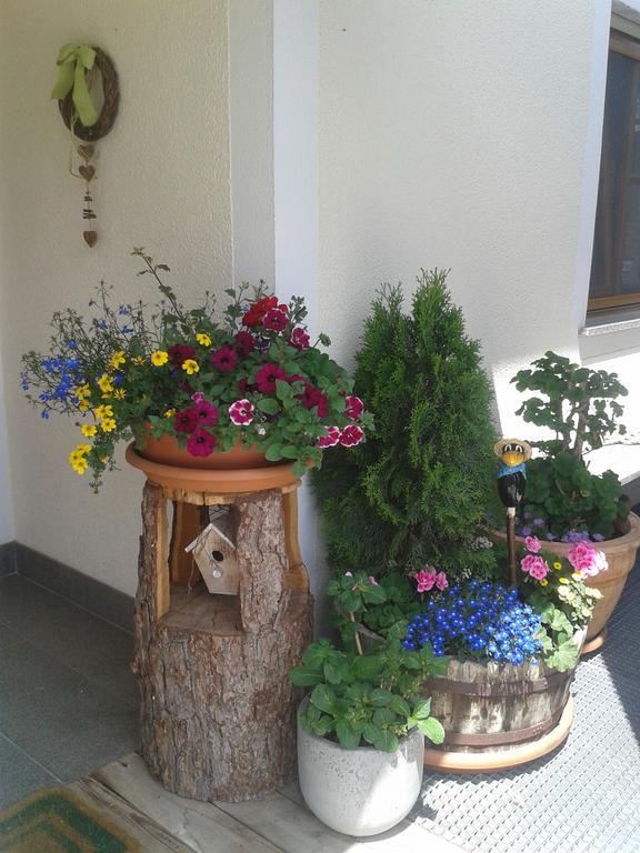 Appartements Faerberhof Olang 外观 照片