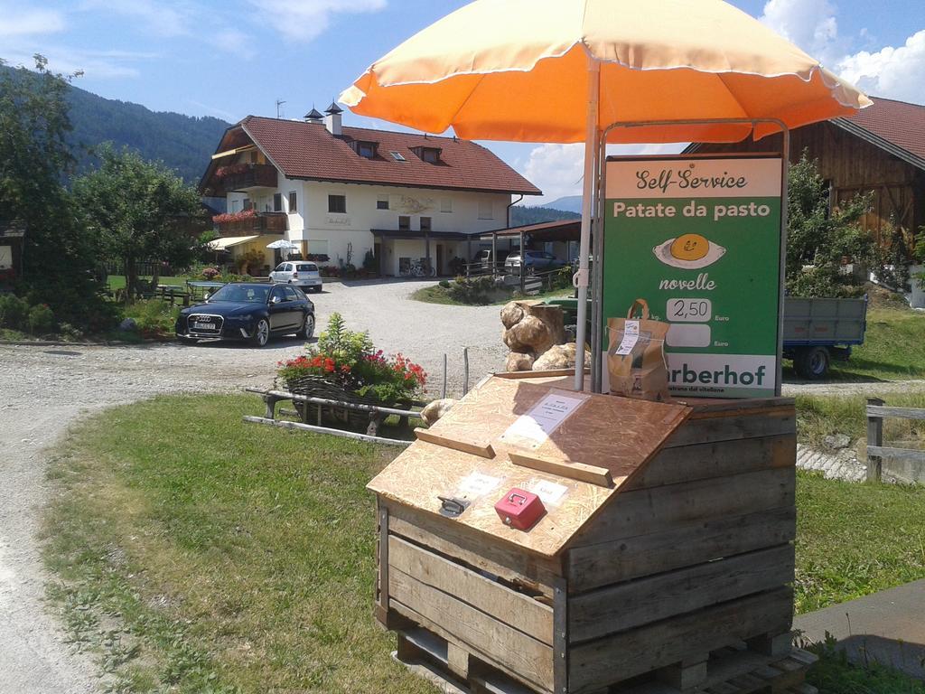 Appartements Faerberhof Olang 外观 照片