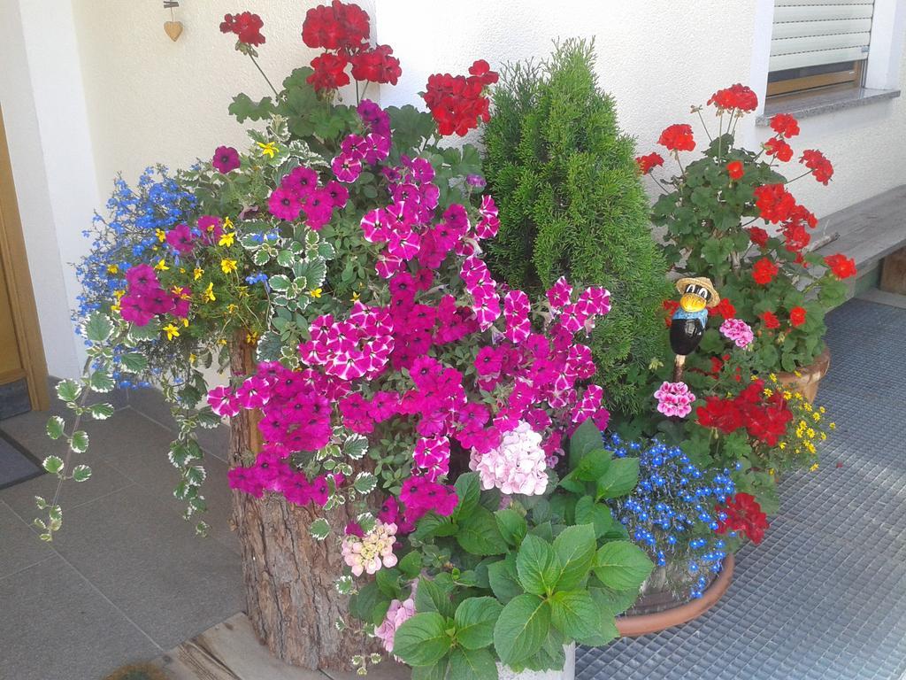 Appartements Faerberhof Olang 外观 照片